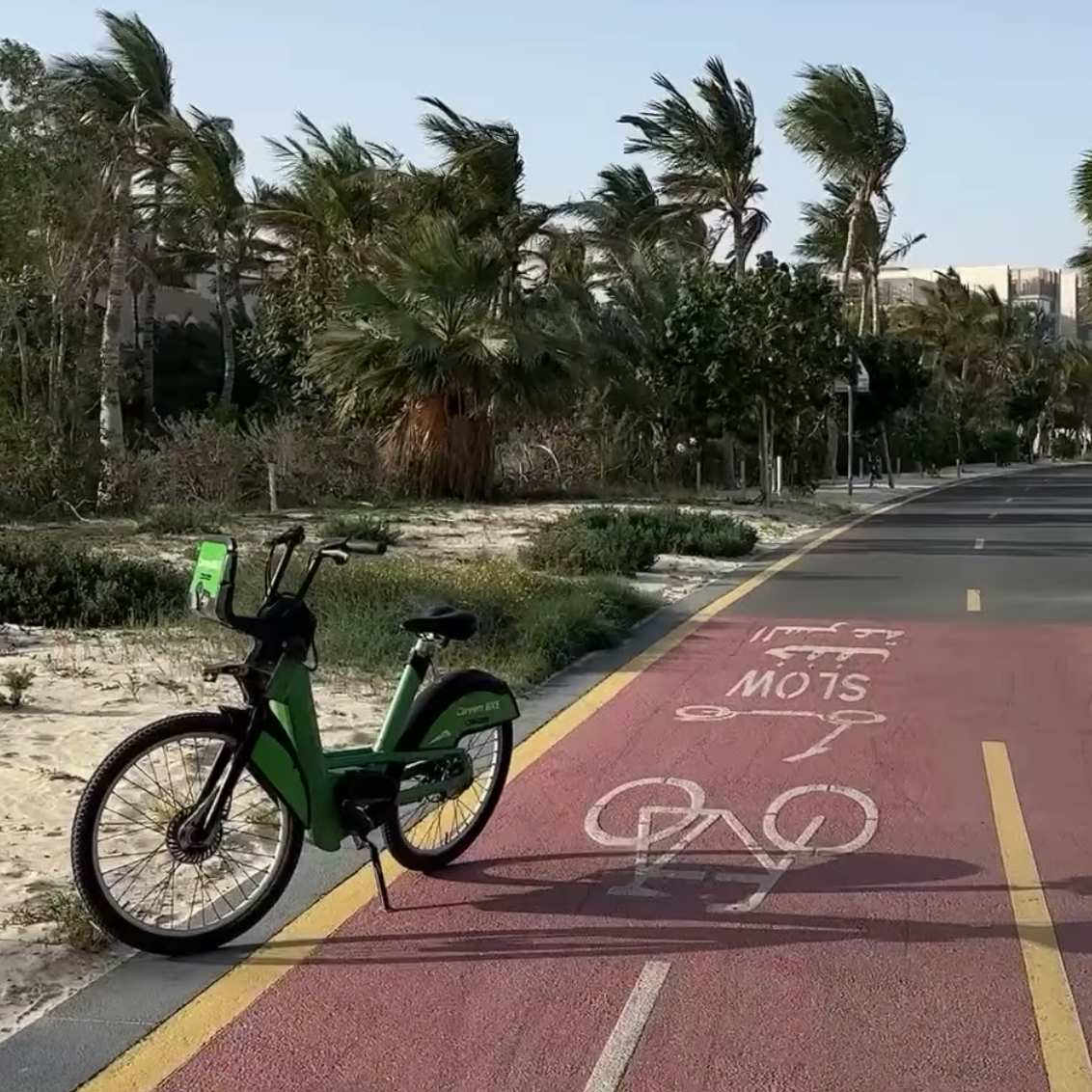 Evening Cycling Experience 🚴🏻‍♀️